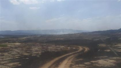 В лесхозе Карагандинской области тушат пожар на площади более 116 га 