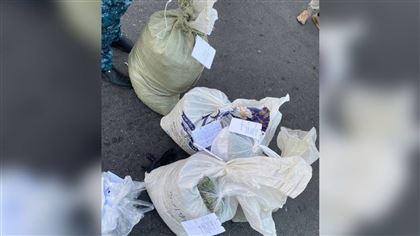 У четырех жителей Тараза изъяли 29 килограммов наркотиков 