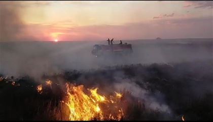 В Акмолинской области в Целиноградском районе горел камыш