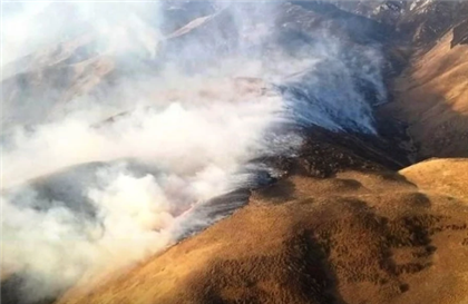 В Жамбылской области в горной местности тушат природный пожар
