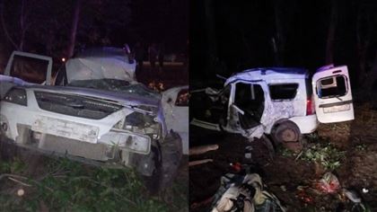 Люди пострадали при опрокидывании авто в Жетысуской области