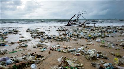 От мусора и брошенных рыболовных сетей очистят дно Каспия