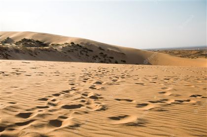 Несколько сел в Атырауской области могут поглотить песчаные барханы