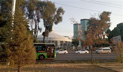 Как немцы попытались жить в Алматы, пользуясь только общественным транспортом