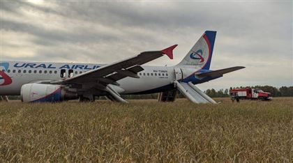 В Новосибирской области самолет "Уральских авиалиний" совершил экстренную посадку в поле, на борту были казахстанцы