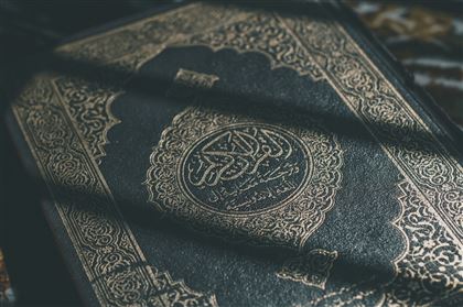В Швеции вынесли первый приговор за экстремизм из-за сожжения Корана
