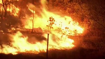В Австралии вспыхнули лесные пожары