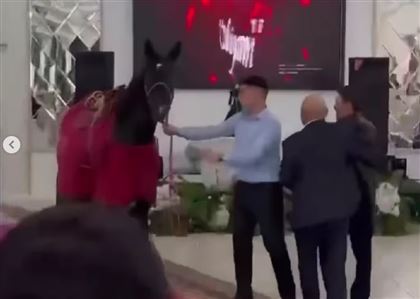 Понты по-казахски: лошадь подарили на тое в Уральске 