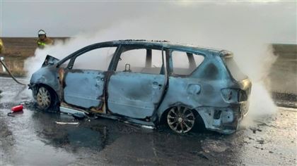 На трассе в Актюбинской области авто сгорело после столкновения с коровой 