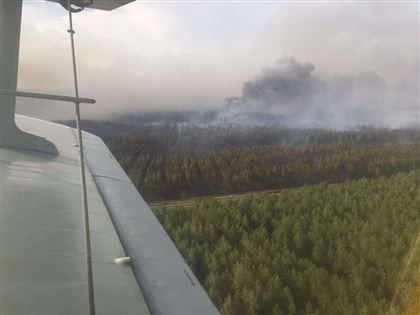 Крупный лесной пожар в Костанайской области: суд изменил приговор замглаве лесного хозяйства