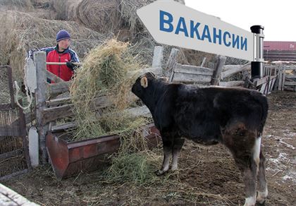 "Специалисты не хотят работать за 600 тысяч в Казахстане": почему в сёлах не хватает работников