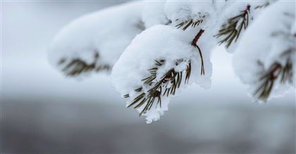 Шестого декабря в Казахстане ожидается снег, метель и гололед