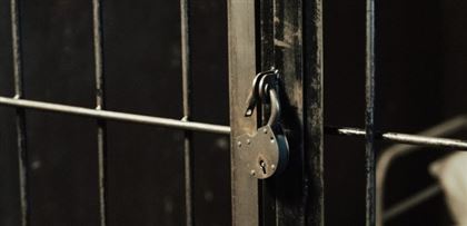 В Шымкенте осужденному условно заменили срок на реальный