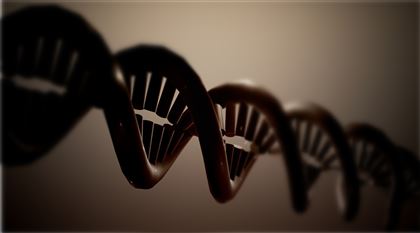 Репликацию ДНК изучили детально