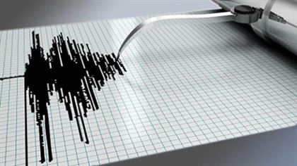 В Алматы зафиксировано землетрясение 