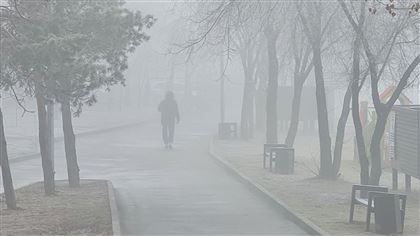 24 января в Казахстане ожидается туман, метель и гололед