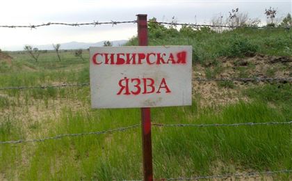 В Жетысуской области выявили десятки бесхозных захоронений сибирской язвы