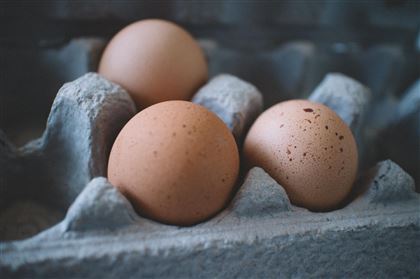 Что происходит с ценами на яйца в Казахстане