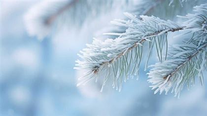 15 февраля в Казахстане ожидается морозная погода
