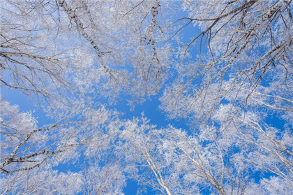 Заморозки до -45° прогнозируют в Казахстане