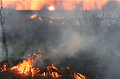 В Жетысуской области огнеборцы спасли от пожара двух детей