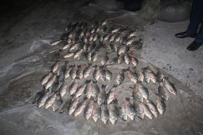 В Туркестанской области полицейские изъяли незаконно выловленную рыбу и сети