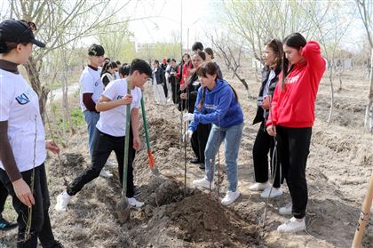Студенты и преподаватели высадили около 500 саженцев в Ботаническом саду университета в Кызылорде 