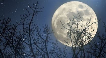 Как Луна и ее фазы влияют на наше здоровье