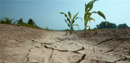 Стало известно в каких регионах Казахстана в мае ожидается засуха
