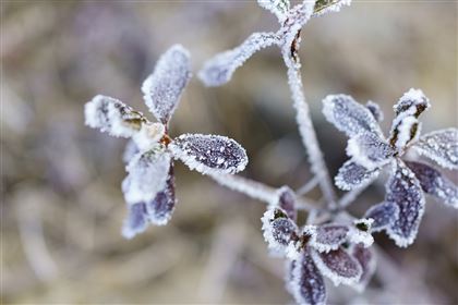 В Казахстан вернутся морозы до 8 градусов