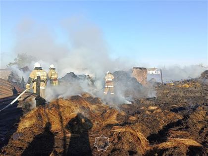 В Костанайской области горело здание хозяйственных построек