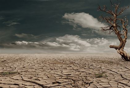 Засуха ожидается в Казахстане
