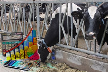 Министр признал приписки в сельском хозяйстве РК: коровы "сдохли", молоко "убежало"