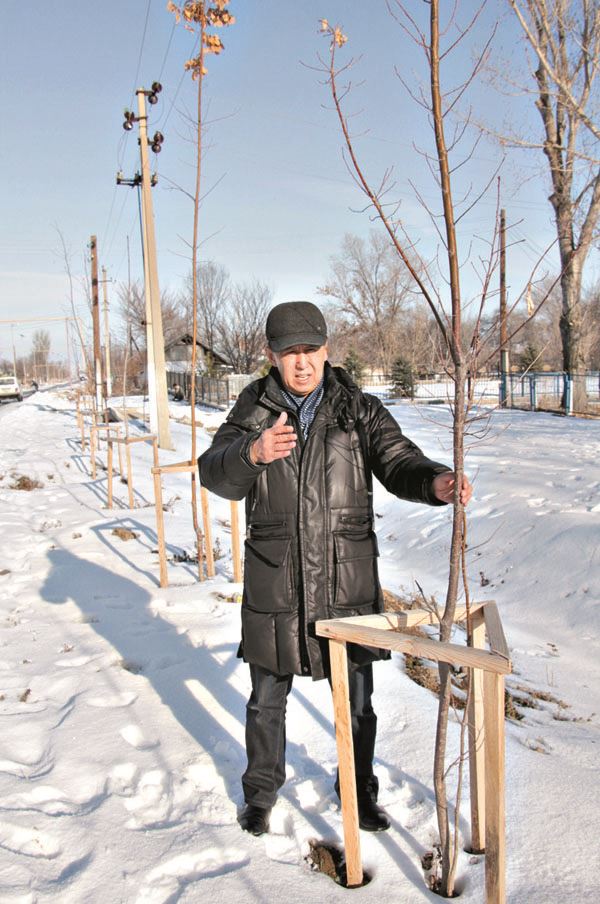Берик Алишев демонстрирует корреспондентам Каравана молодые деревца