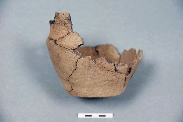 Археологи утверждают, что сосуд из поселения Камысты относится к бронзовому веку