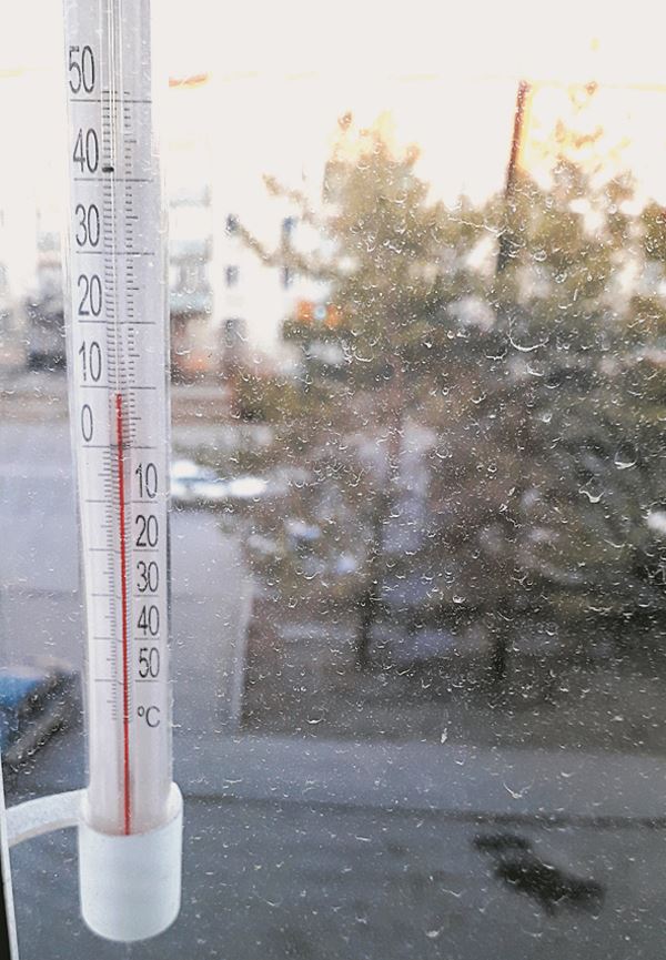 За окном – январь, а на градуснике +9 градусов
