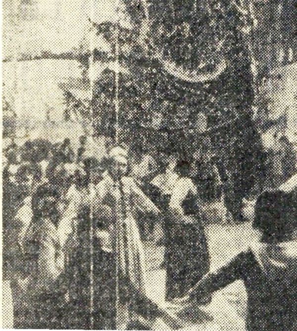 Главная елка Алма-Аты в 1967-ом